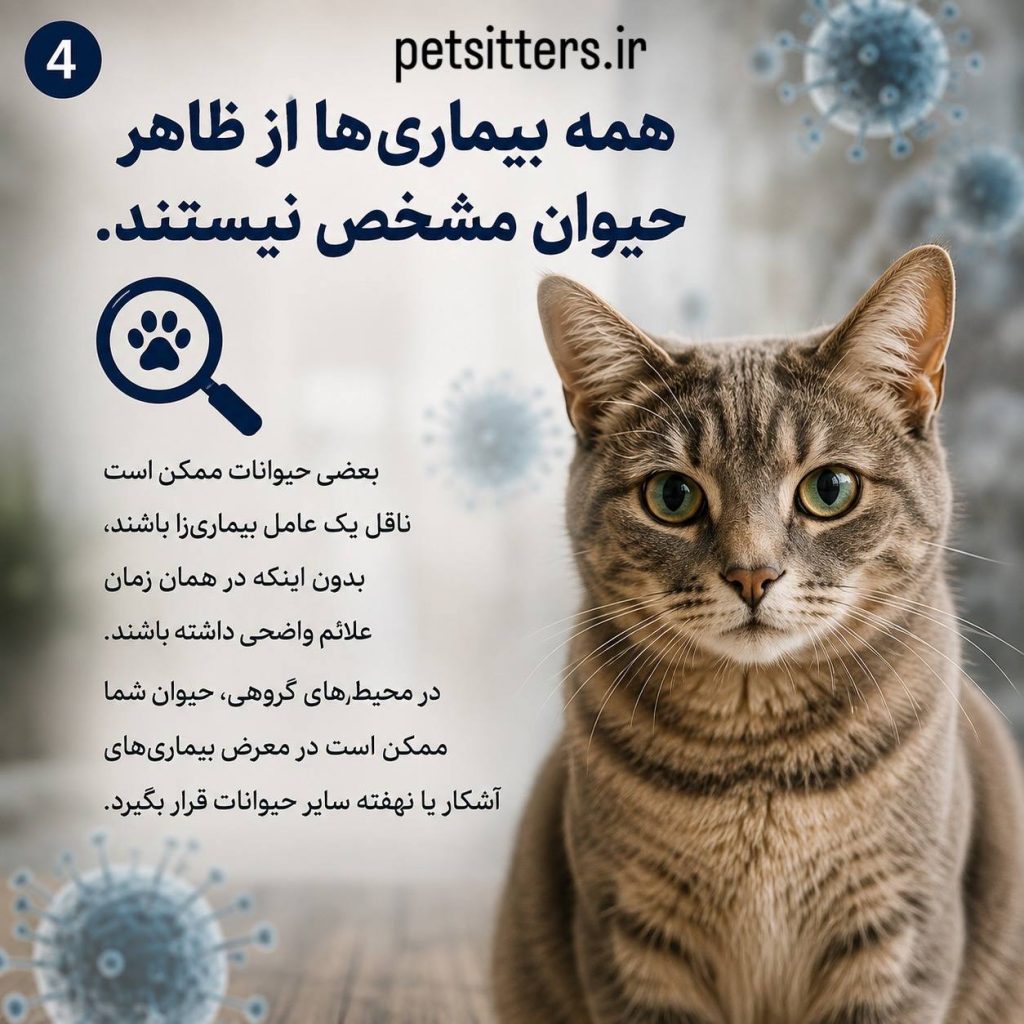 حیوانات ناقل