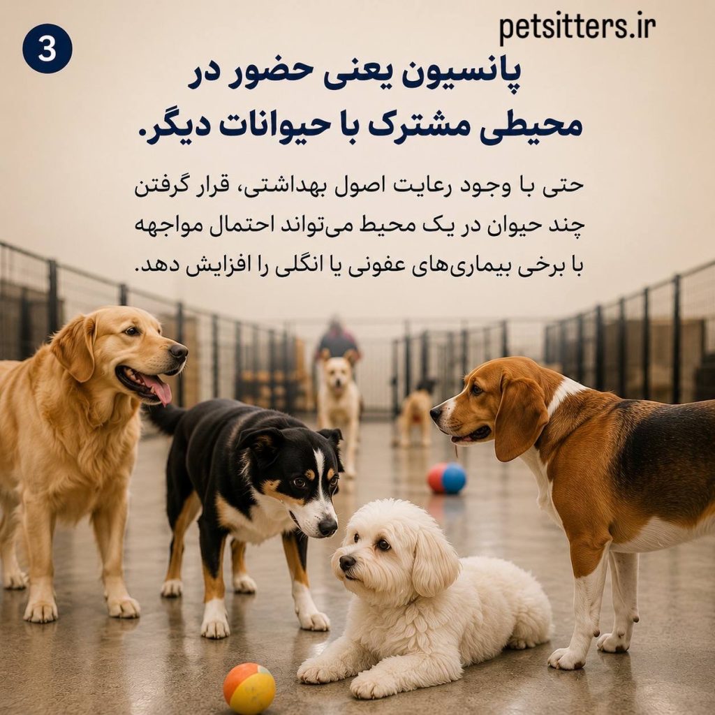بیماری‌های واگیردار در پانسیون‌ها