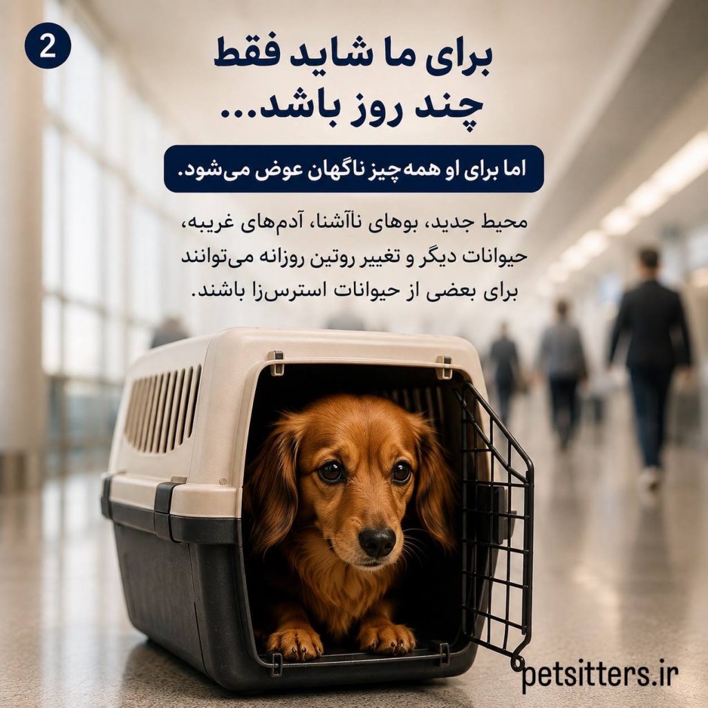 استرس