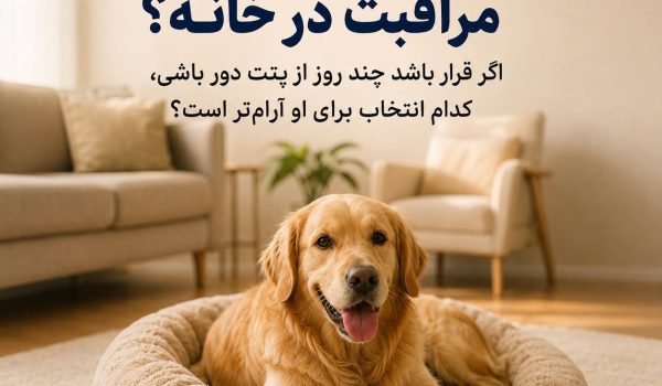 پانسیون یا مراقبت در خانه؟