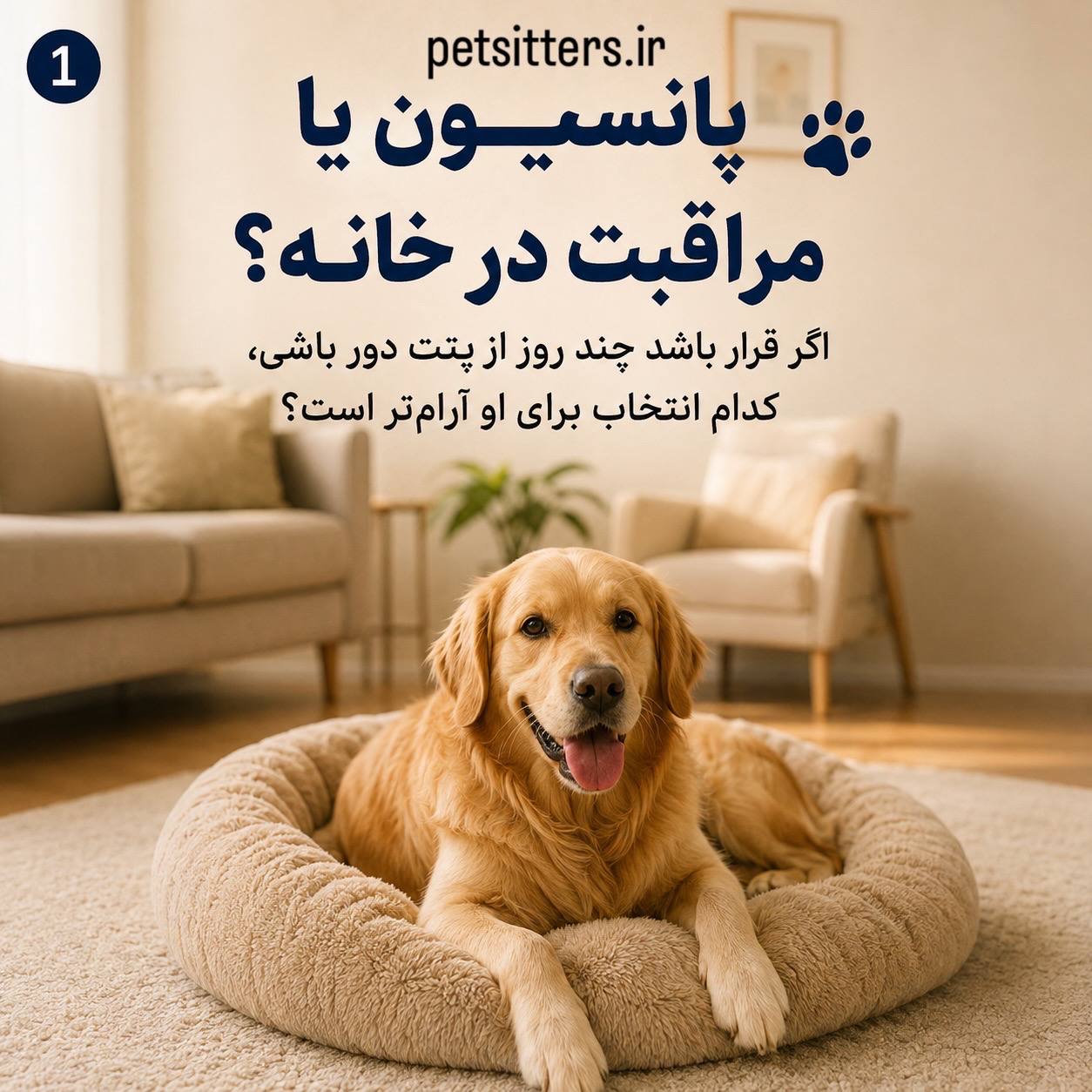 پانسیون یا مراقبت در خانه؟